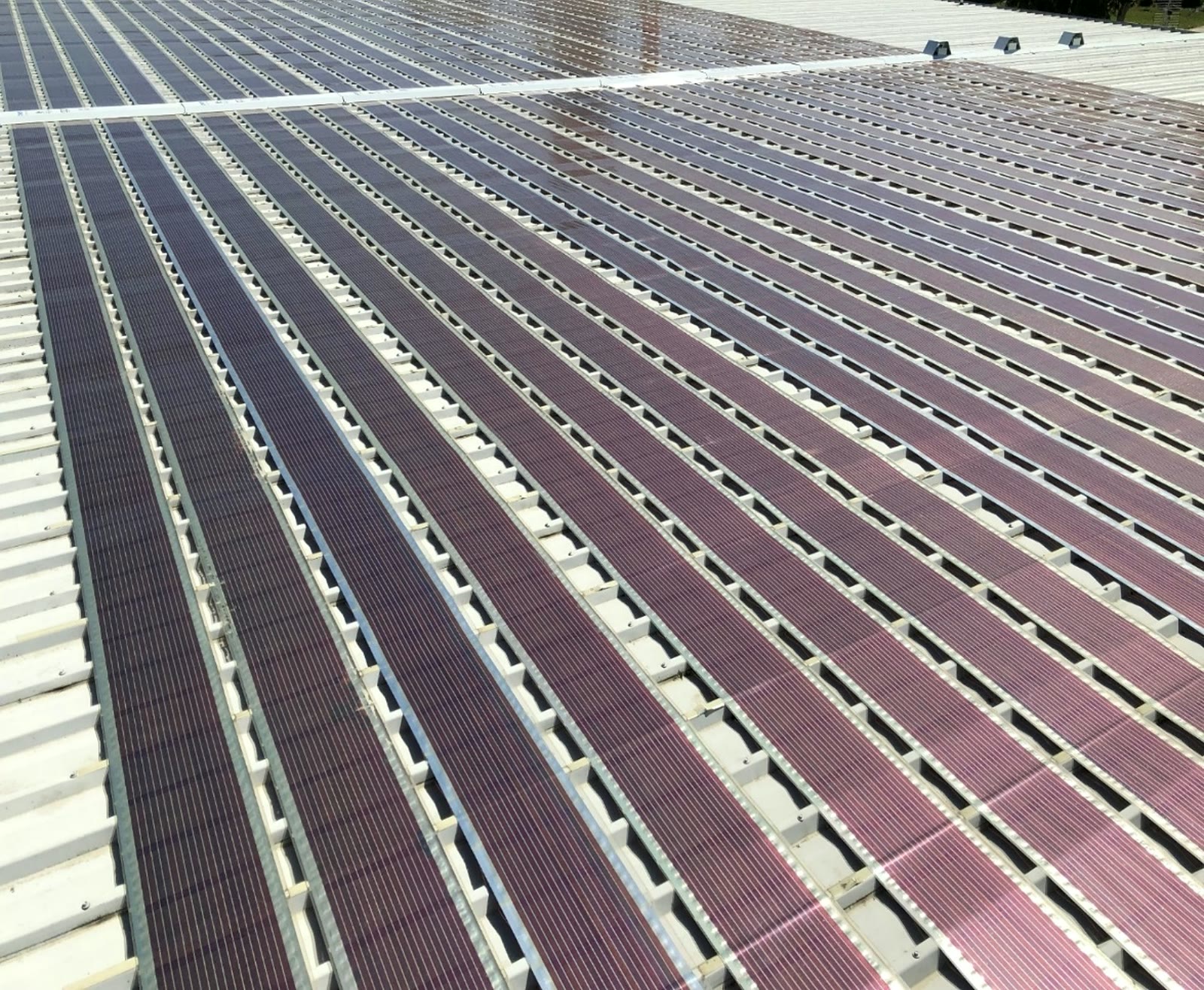 Rows of Printed Solar strips fixed across a large warehouse roof
