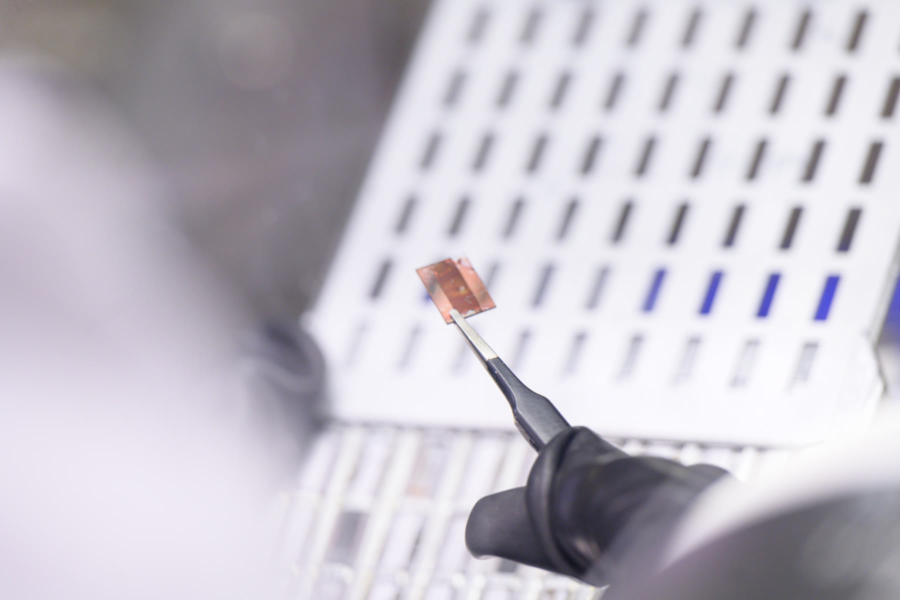 A gloved hand holding a small photovoltaic material sample with tweezers, rows of samples behind
