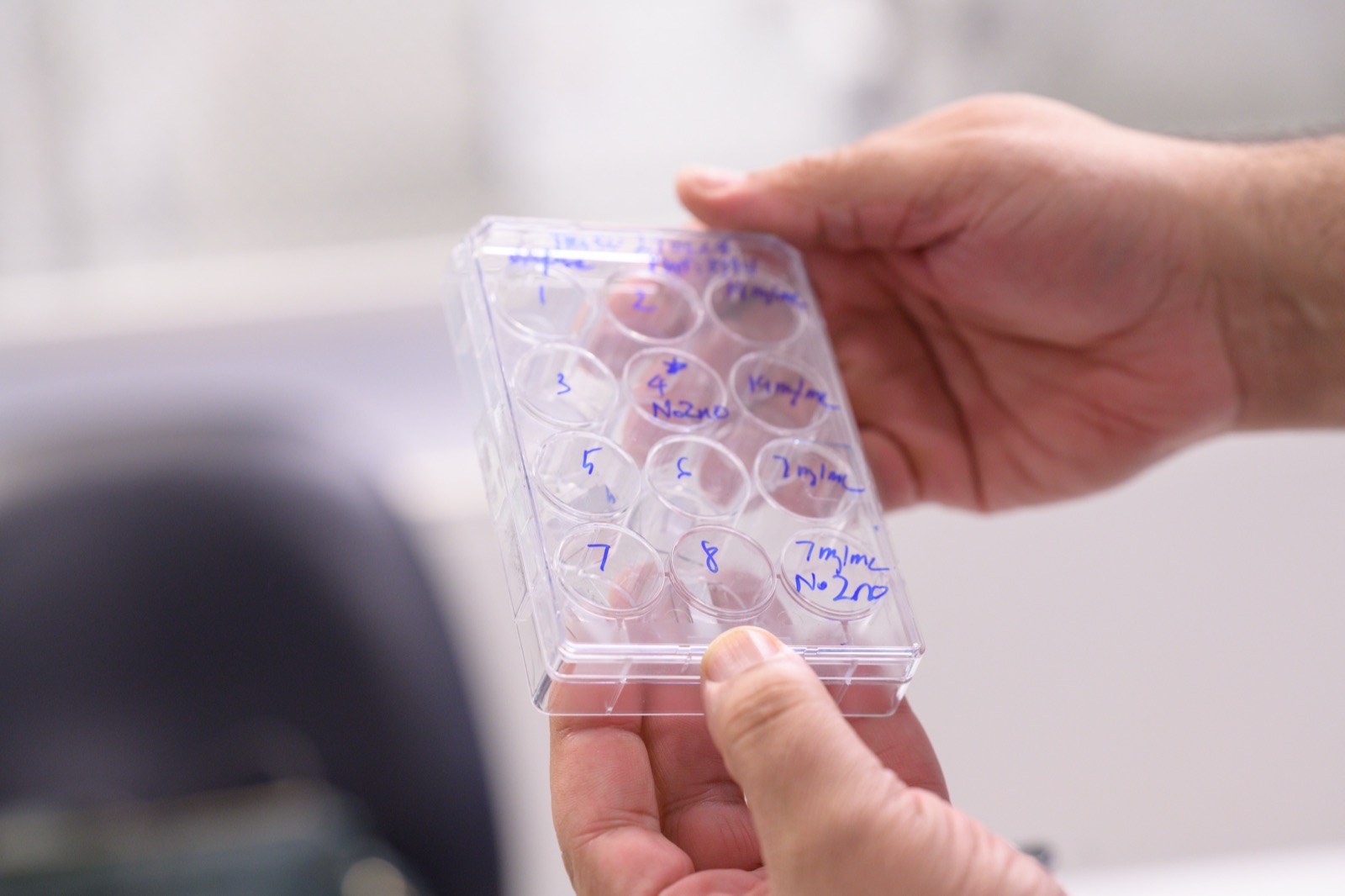A hand holding a plate of test samples
